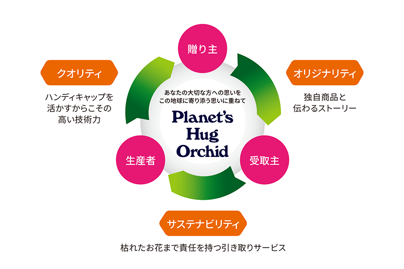 Planet's Hug Orchid 胡蝶蘭循環図